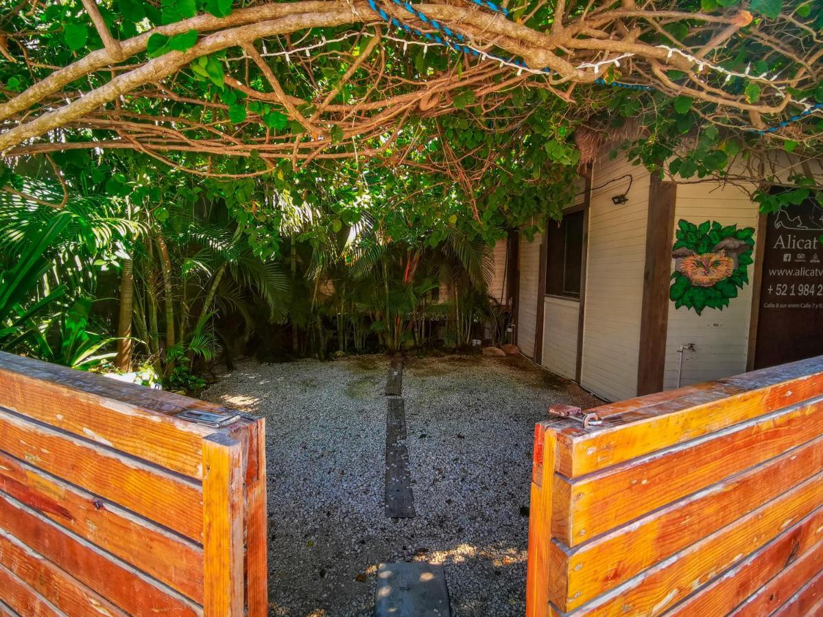 Alicat Villas Tulum Exterior photo